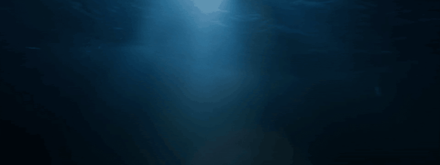 Trinexus Aqua Hajósboltok