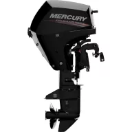 Mercury F15 ELPT EFI