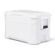 Hűtőláda Igloo  47 liter  63,2 x 37,1 x 37,5 cm EVA