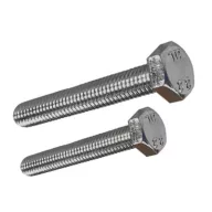   Vijak 4 šesterokut nehrđajući čelik 10 x 80 mm blister pakiranje
