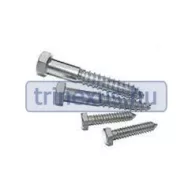   Vijak 4 šesterokutni-polnavojni nehrđajući čelik 6 x 60 mm crni