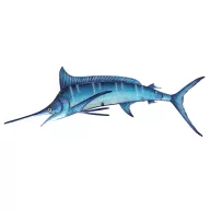 Riba karta 82cm 
