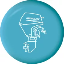 Mercury motor